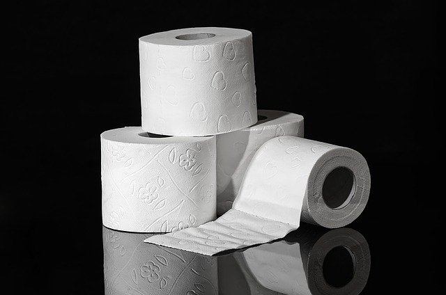 L'origine du papier toilette