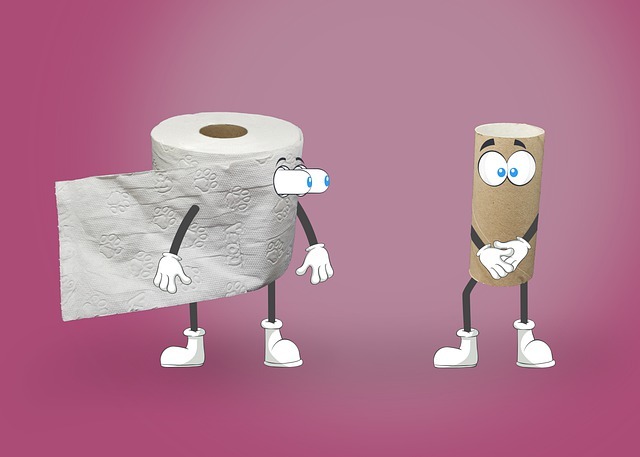Rouleau de papier toilette et mandrin en carton