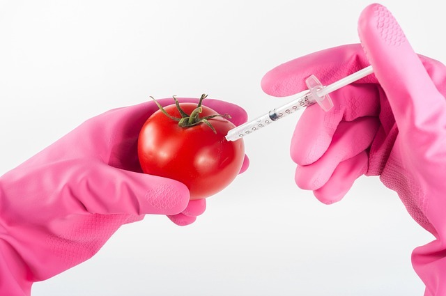 Les OGM : Séparons les faits des fictions